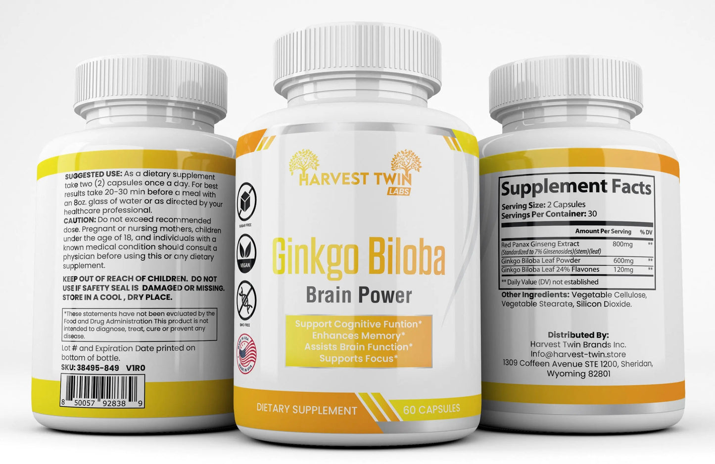 Ginkgo Biloba